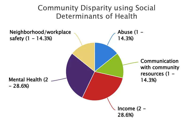 Community disparity chart showing 28.6% mental health and 28.6% Income, 14.3% communication with resources, 14.3% abuse and 14.3% neighborhood/workplace safety