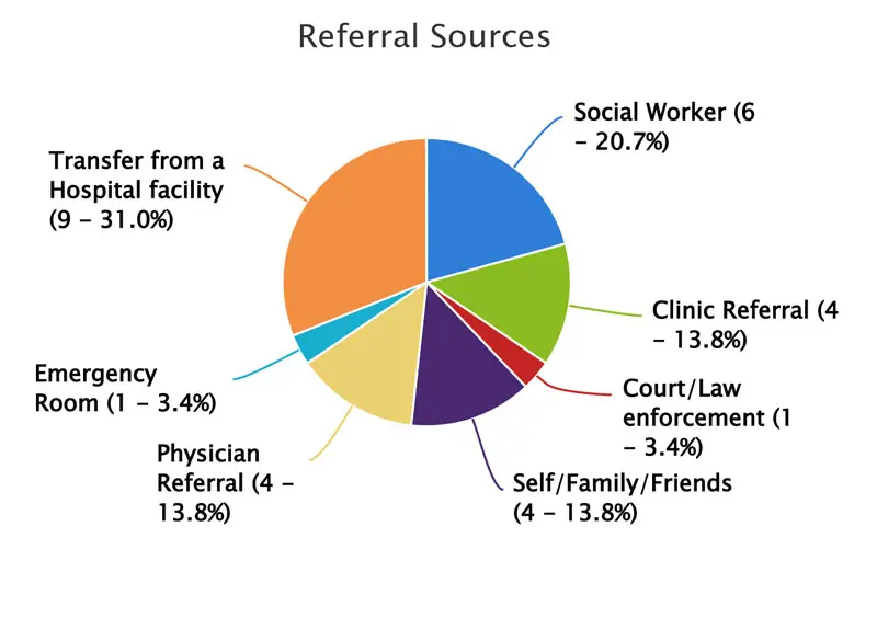 Referral Status chart showing 31% transfer from a hospital, 20.7% social worker, 13.8% clinic referral, 13.8% physician referral, 13.8% self/family/friends, 3.4% court/law enforcement and 3.4% ER