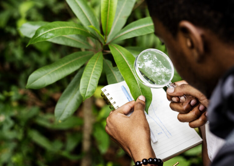 someone inspecting a plant leaf with a magnifying glass and holding a notebook behind the leaf